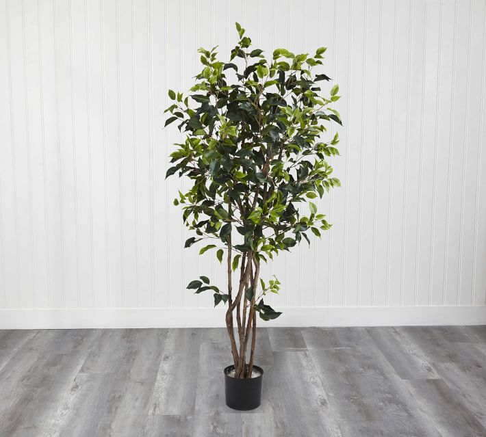 Faux Potted Ficus Bushy Tree thumbnail 2