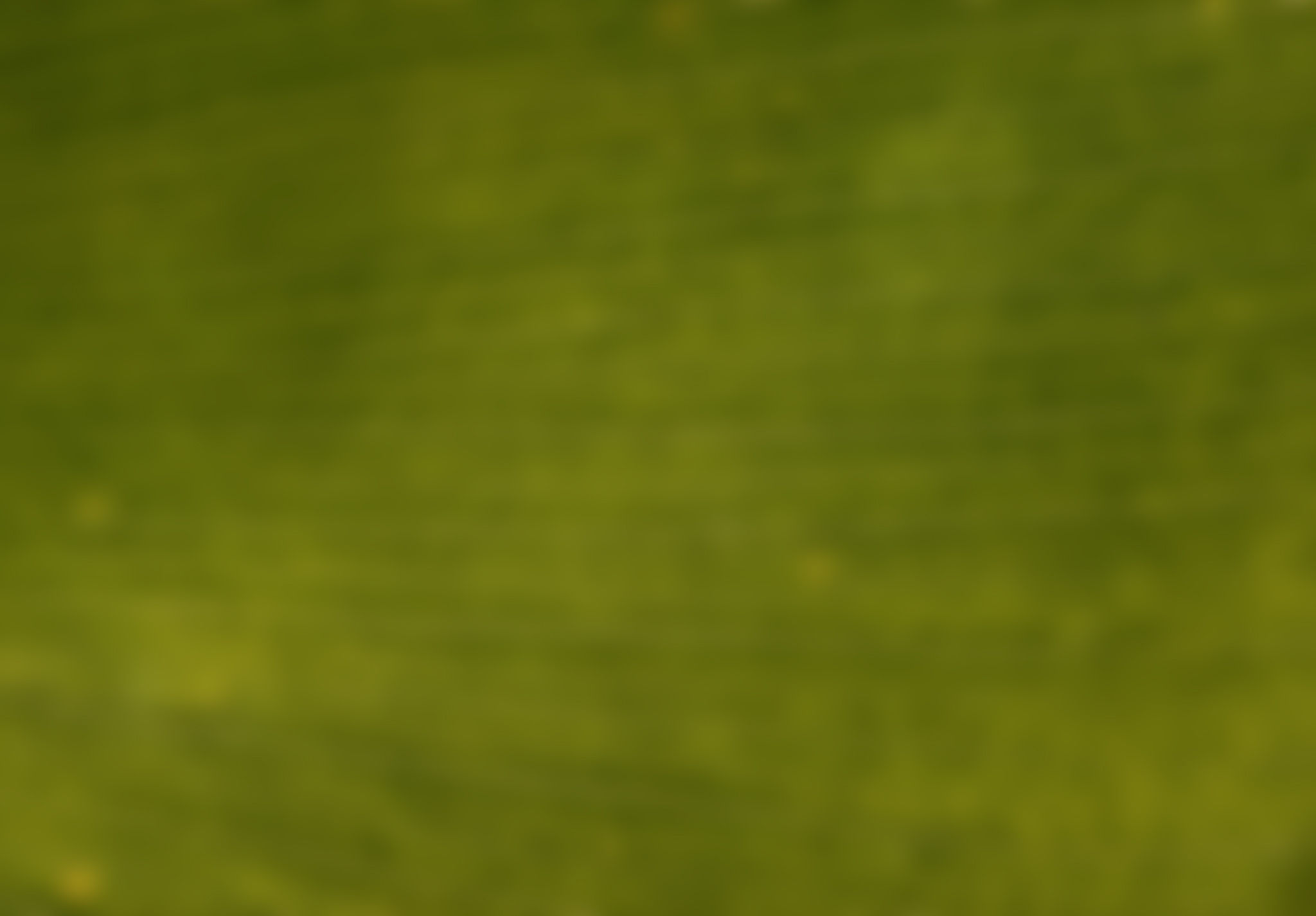 POTTED FAUX ALOE thumbnail 4