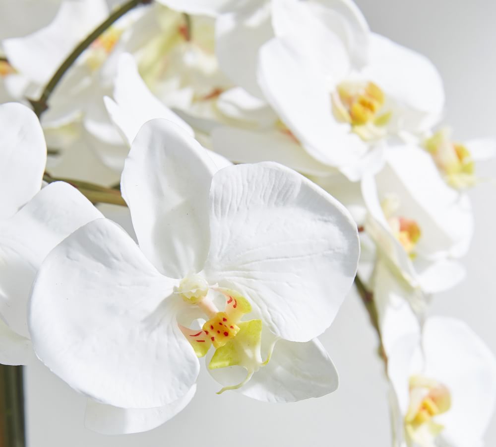 Faux Orchid in Rose Trellis Bowl thumbnail 4