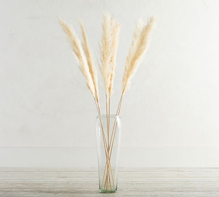 Dried Pampas Grass Branches thumbnail 2