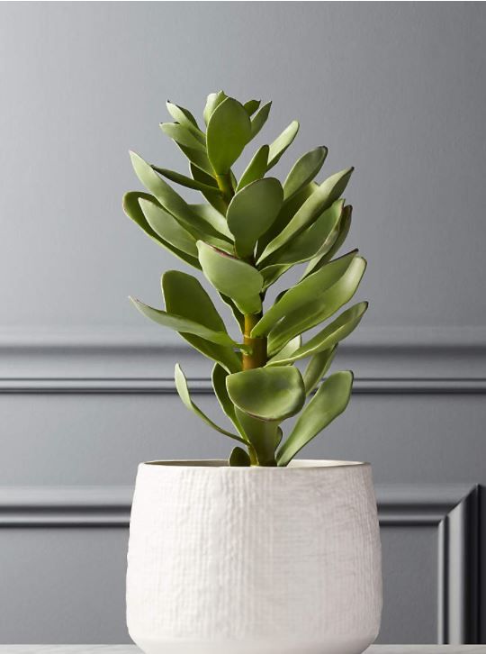 Potted Faux Succulent thumbnail 2
