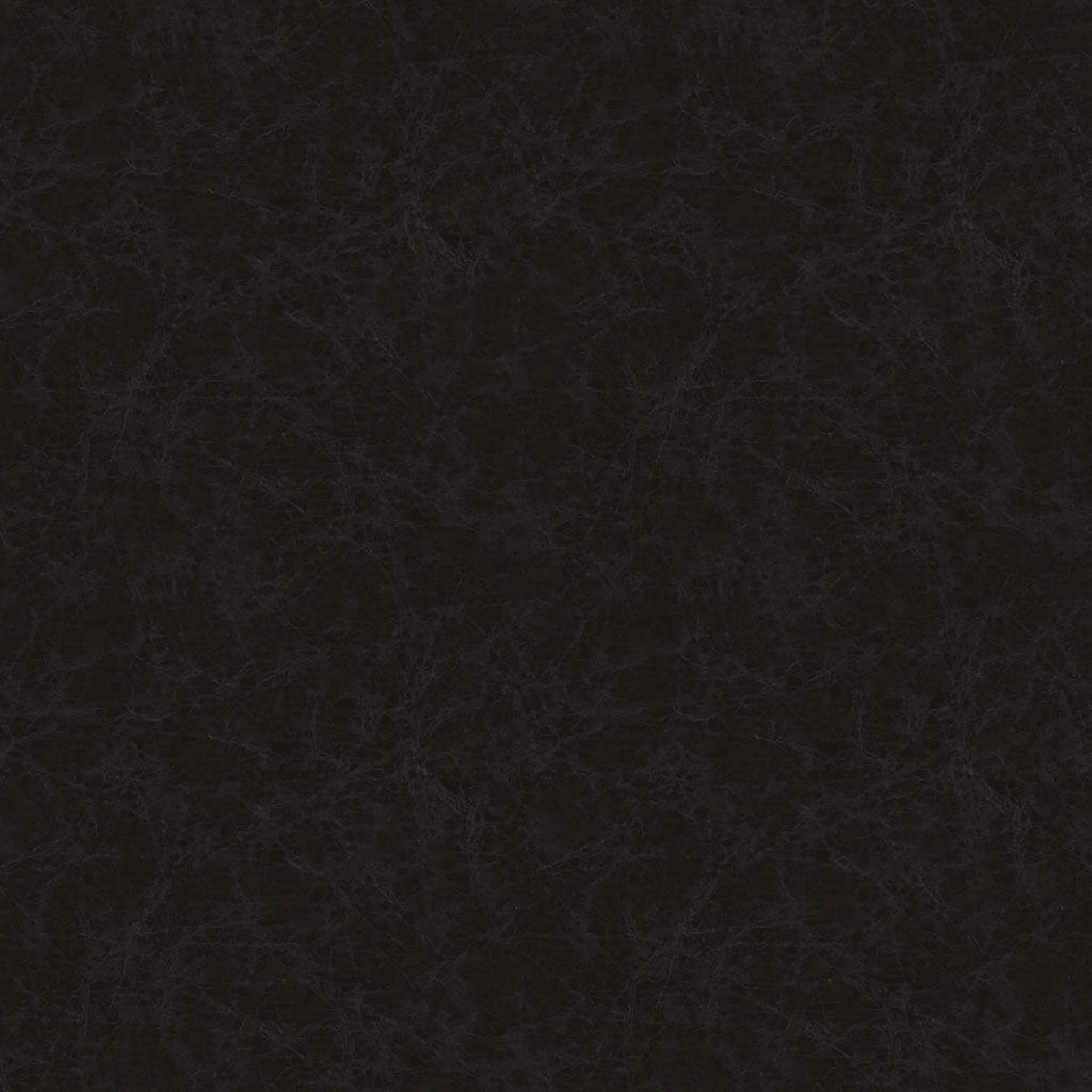 Customer Dining chairs thumbnail 2