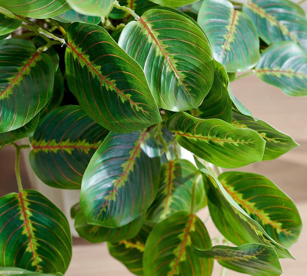 Faux Wandering Prayer Potted Houseplant thumbnail 2