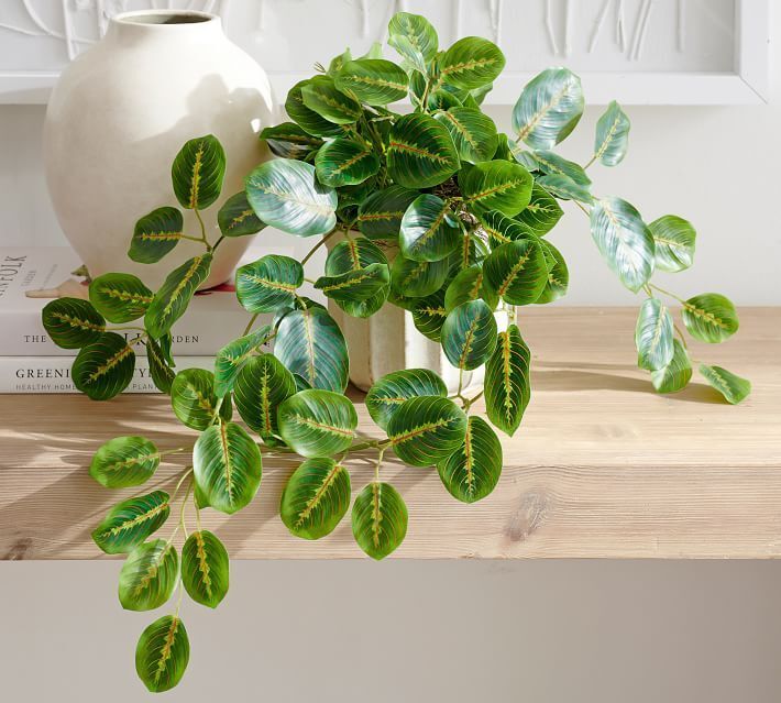 Faux Wandering Prayer Potted Houseplant thumbnail 3