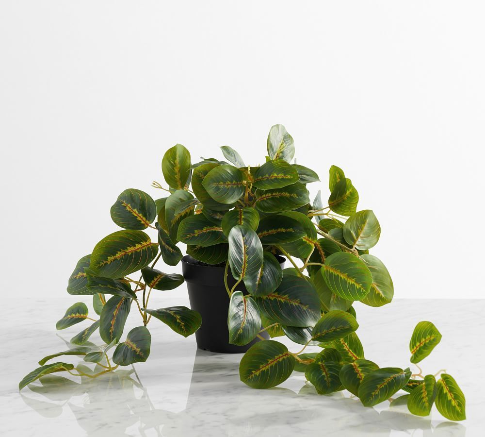 Faux Wandering Prayer Potted Houseplant thumbnail 4