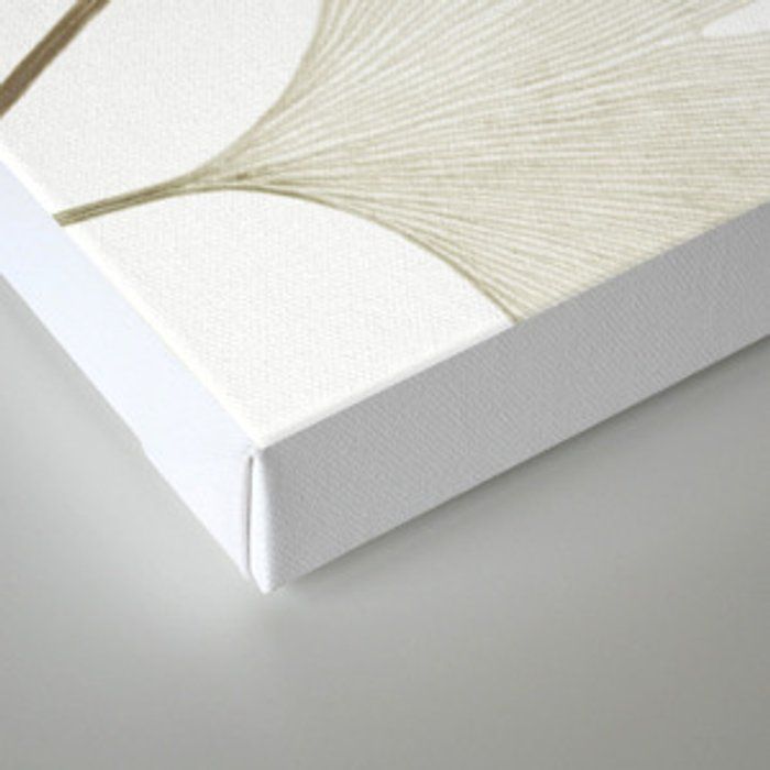 Ginkgo Biloba Leaves Canvas Print thumbnail 2