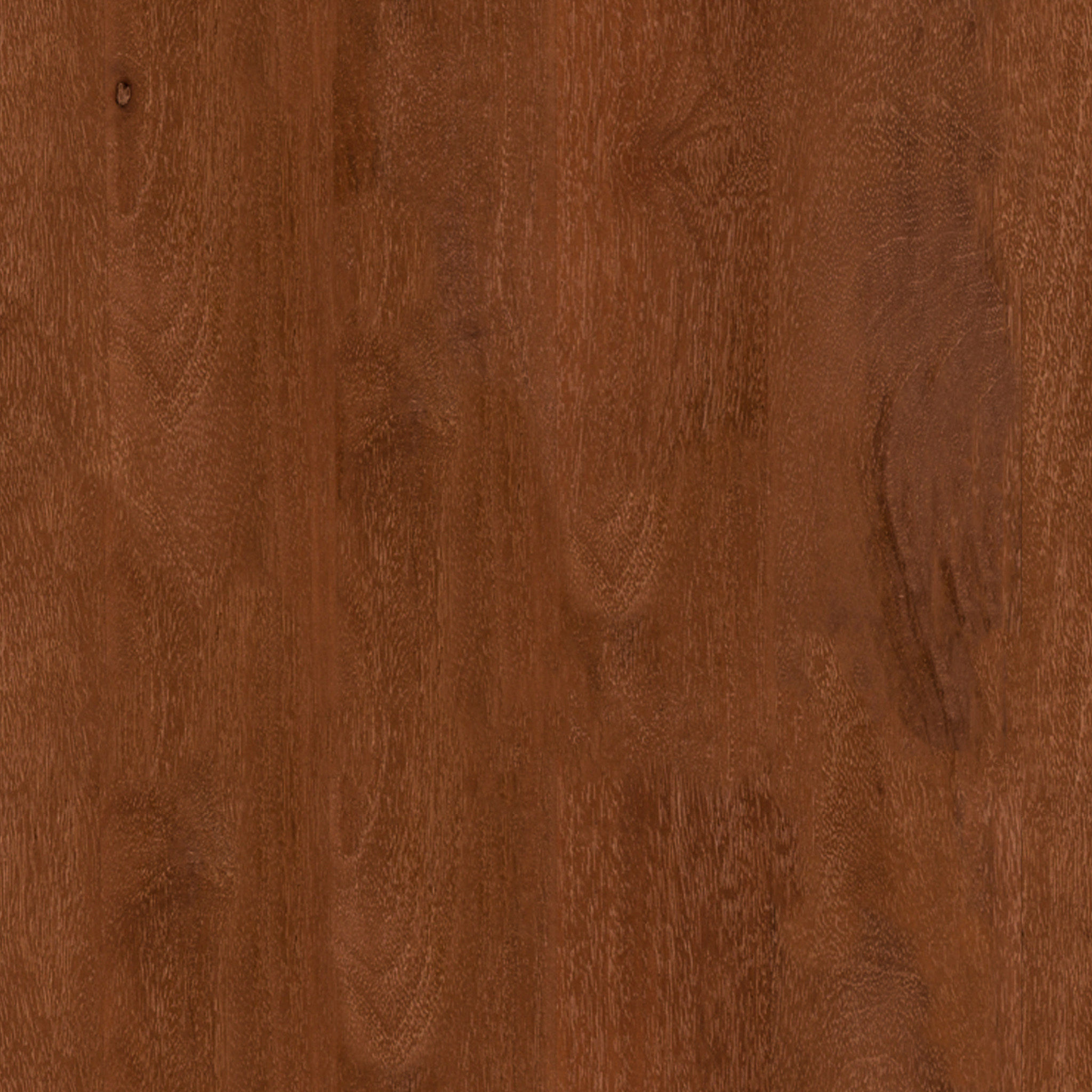 Anton Solid Wood Coat Rack thumbnail 7