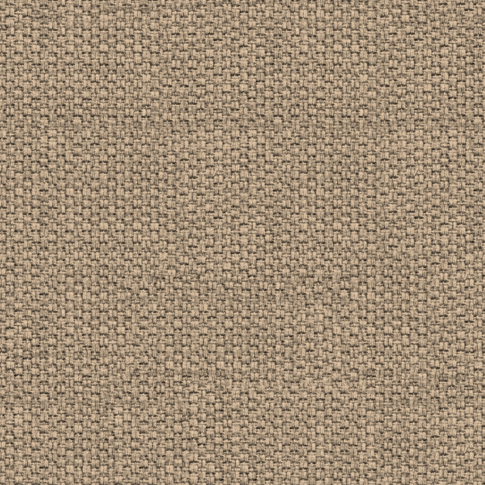 Granada Shams no insert thumbnail 5