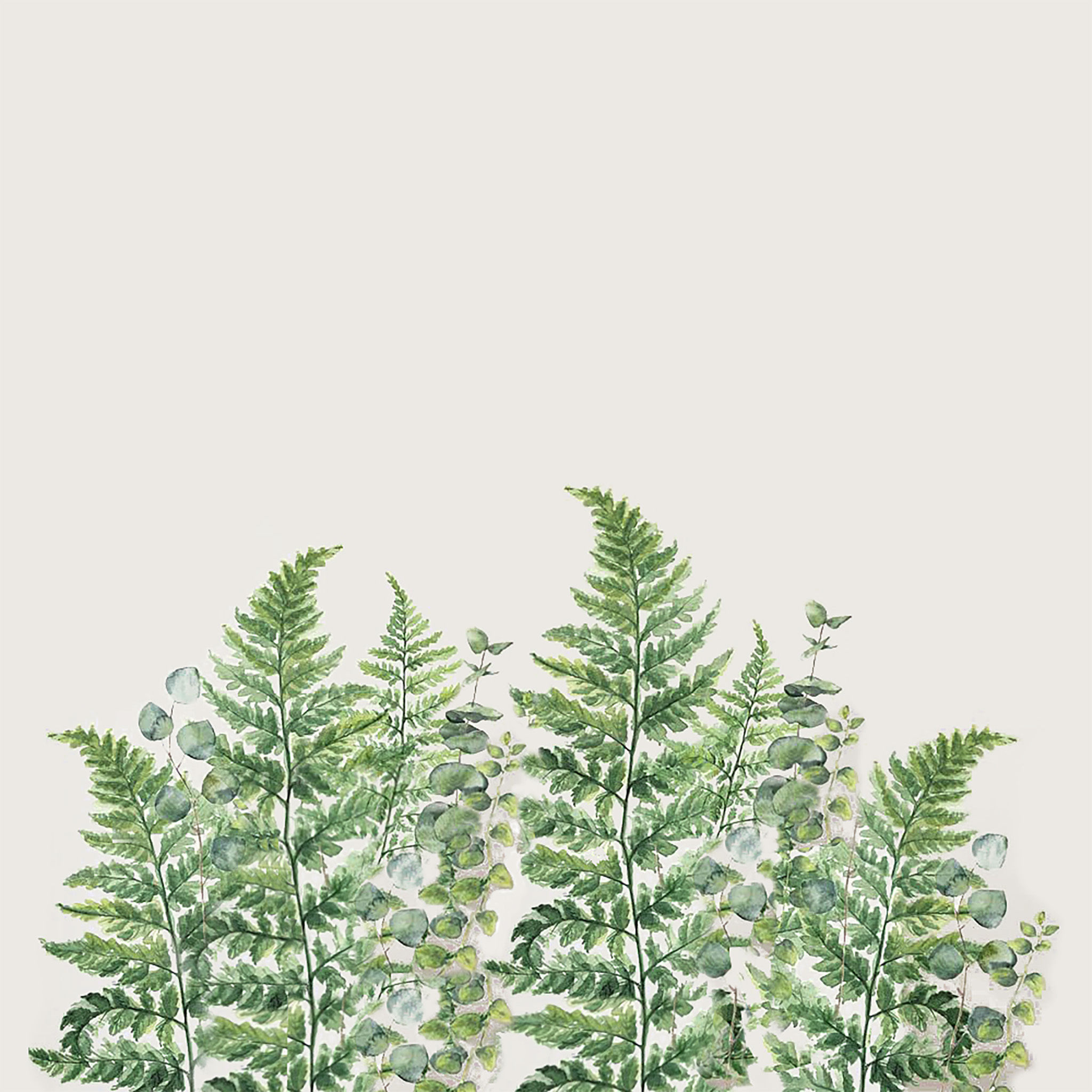 Ferns & Eucalyptus Wall Decals thumbnail 2