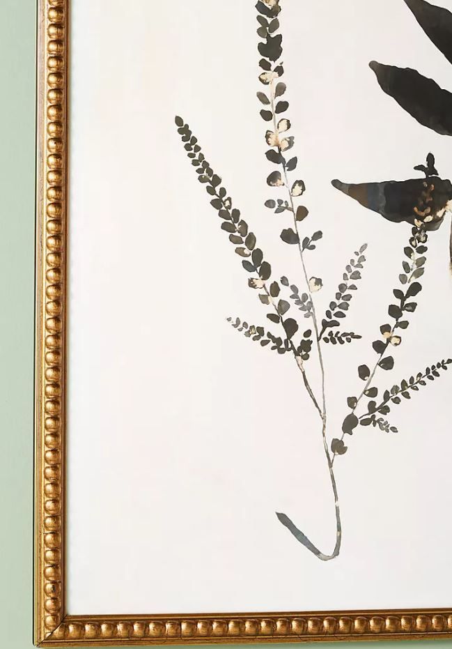Upright Fern Wall Art With FRame thumbnail 3
