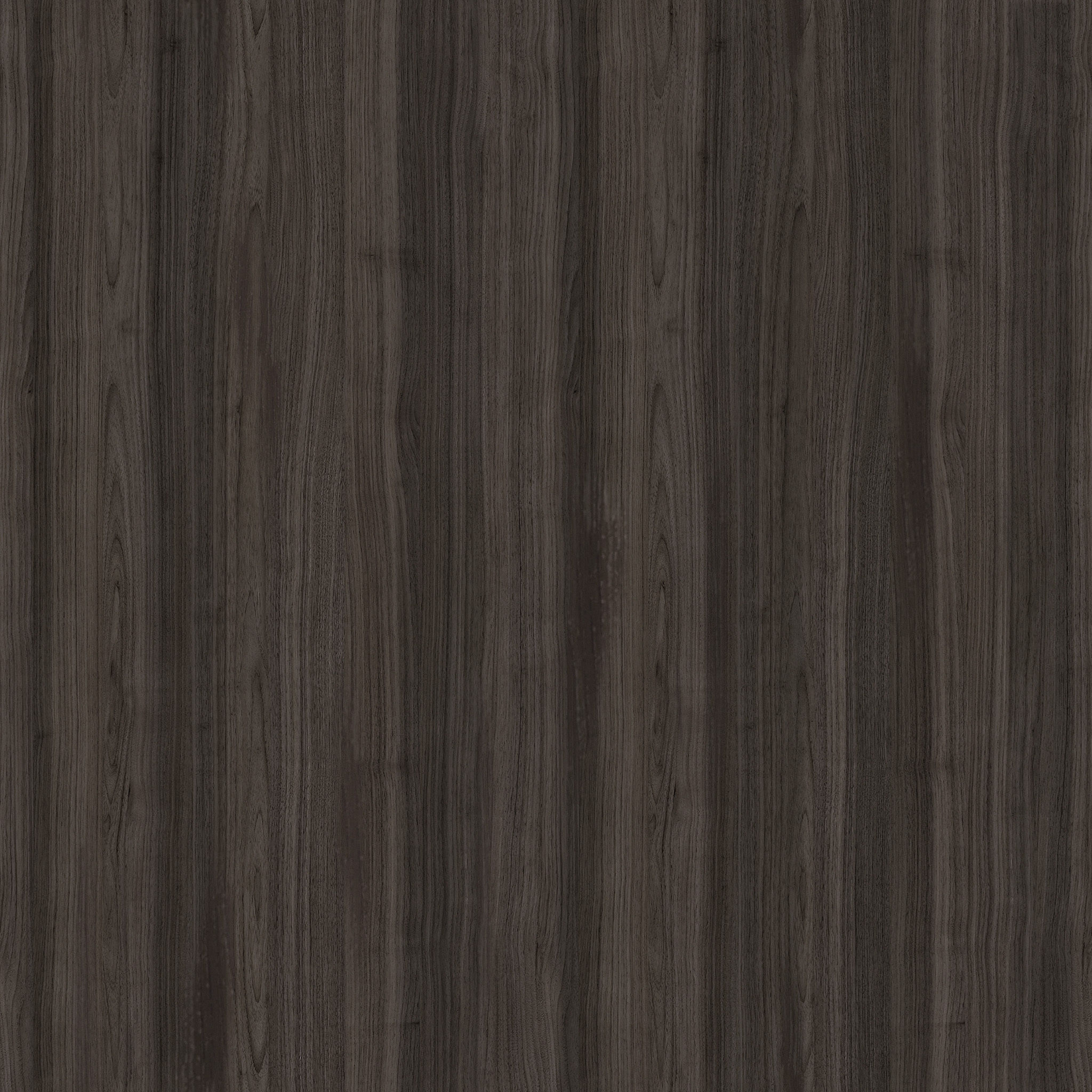 Keiko 2 Door Accent Cabinet thumbnail 5