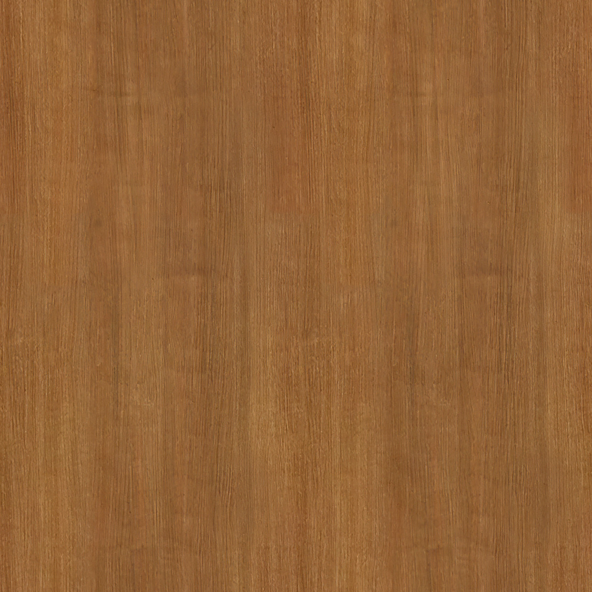 Tiberius 2 Door Accent Cabinet thumbnail 4