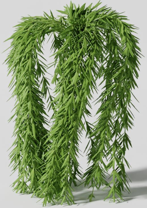 Hanging plant thumbnail 2