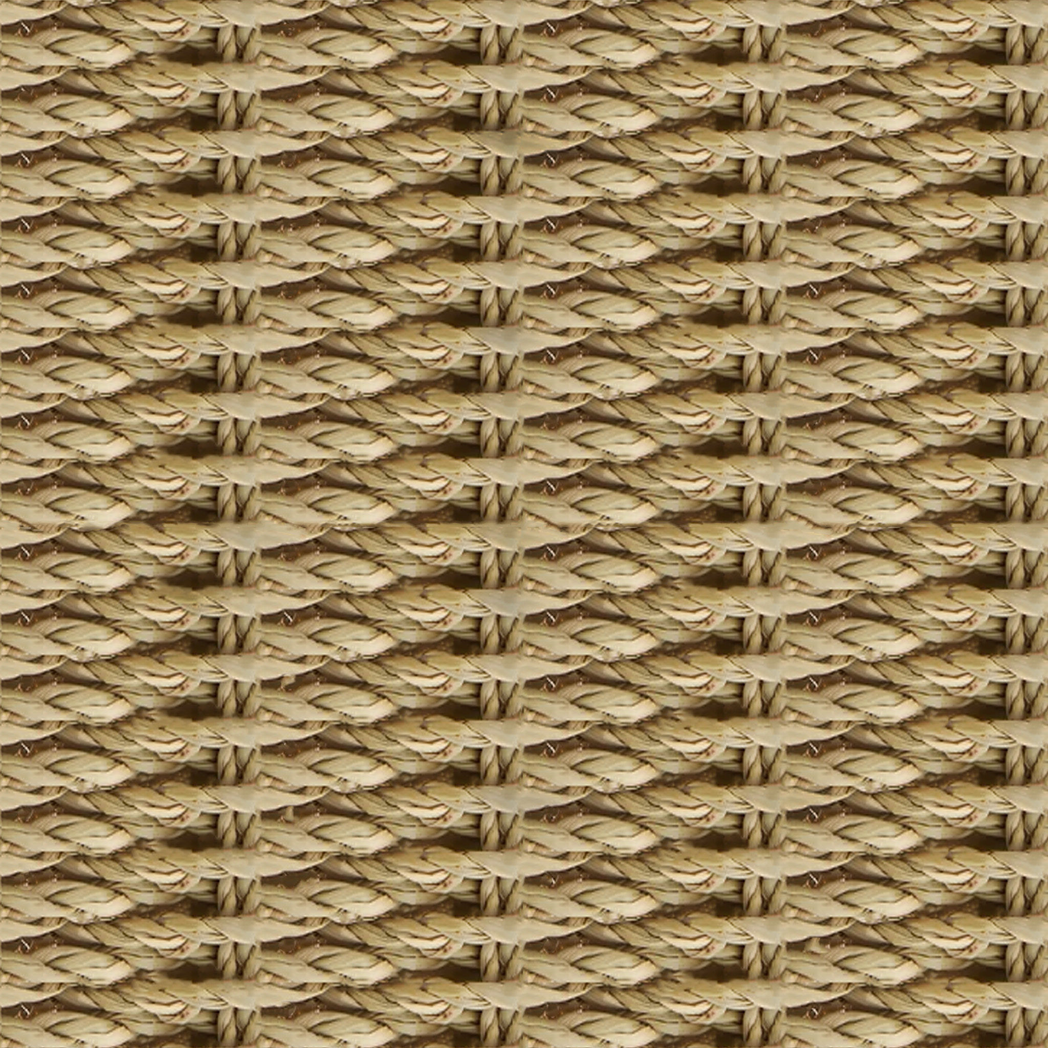 Storage Rattan Basket Set of 4 thumbnail 7