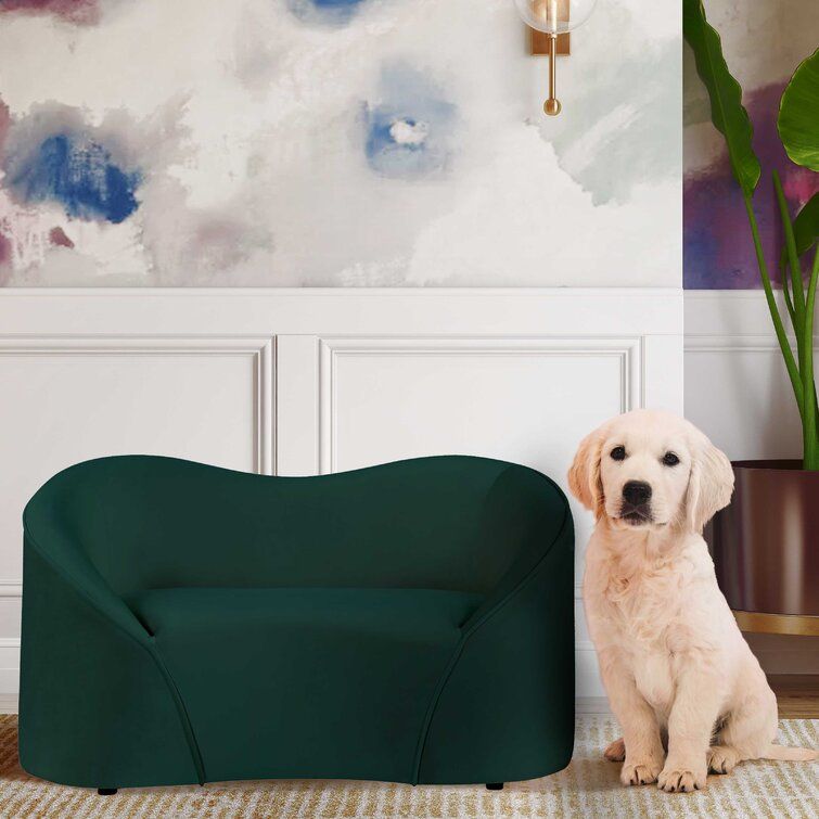 Chau Poodle Dog Sofa thumbnail 3
