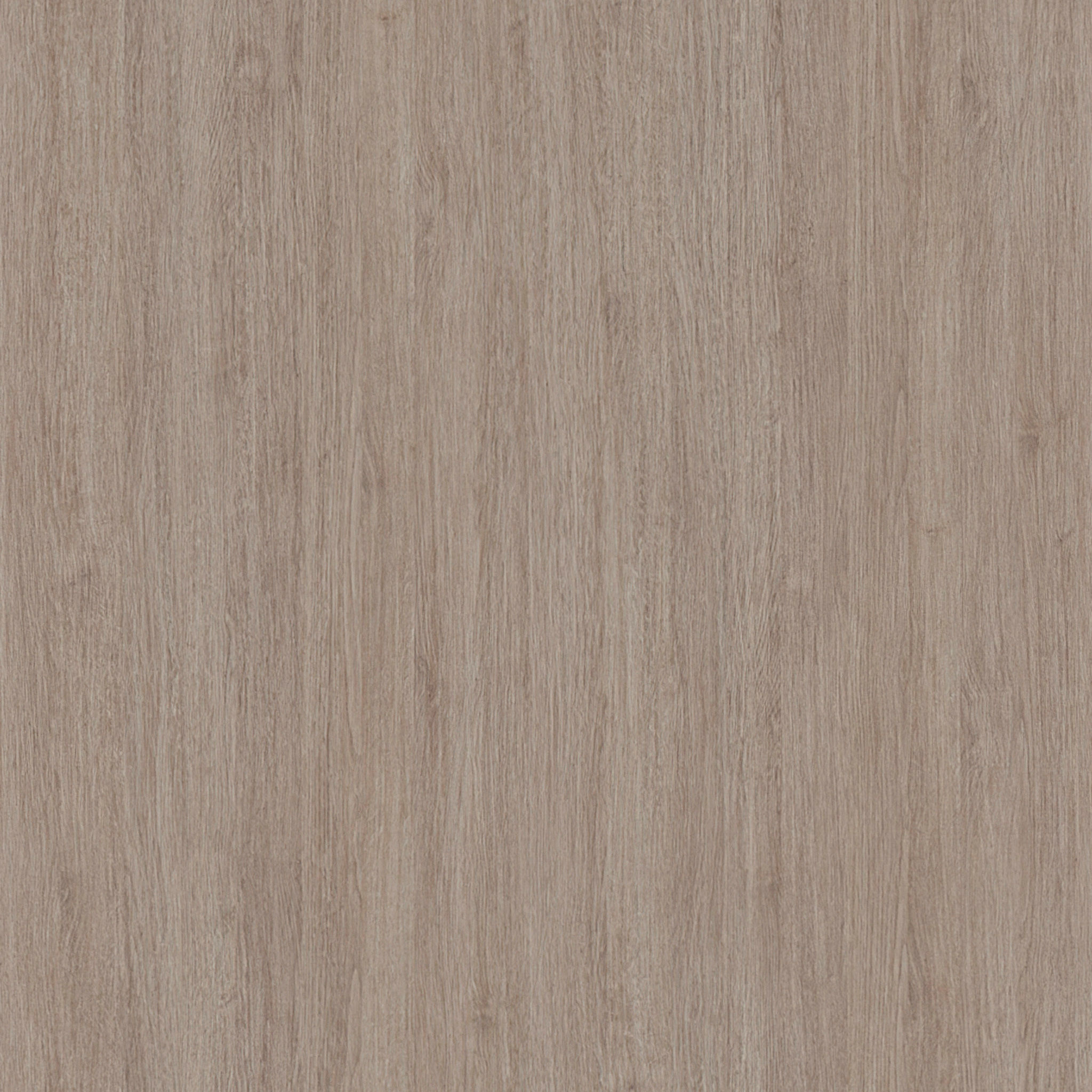 Arlo Beveled Wall Mirror thumbnail 5