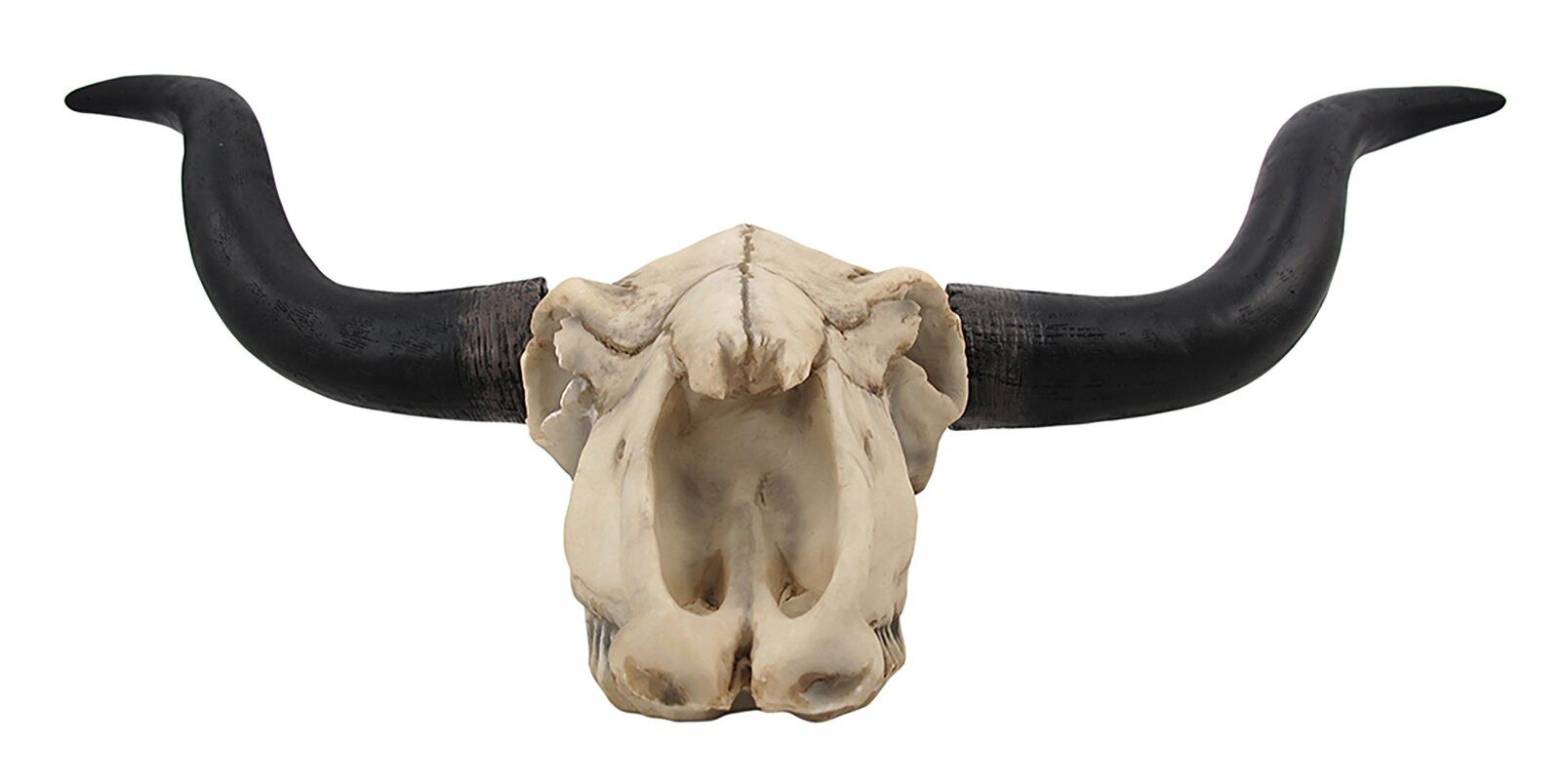 Longhorn Cow Skull Wall Decor thumbnail 2