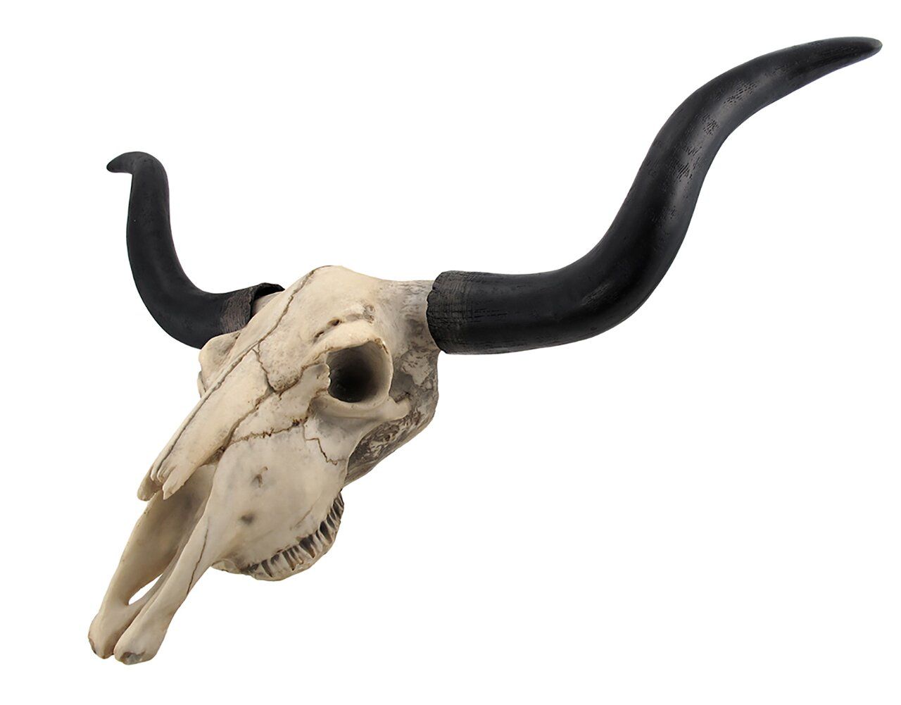 Longhorn Cow Skull Wall Decor thumbnail 3