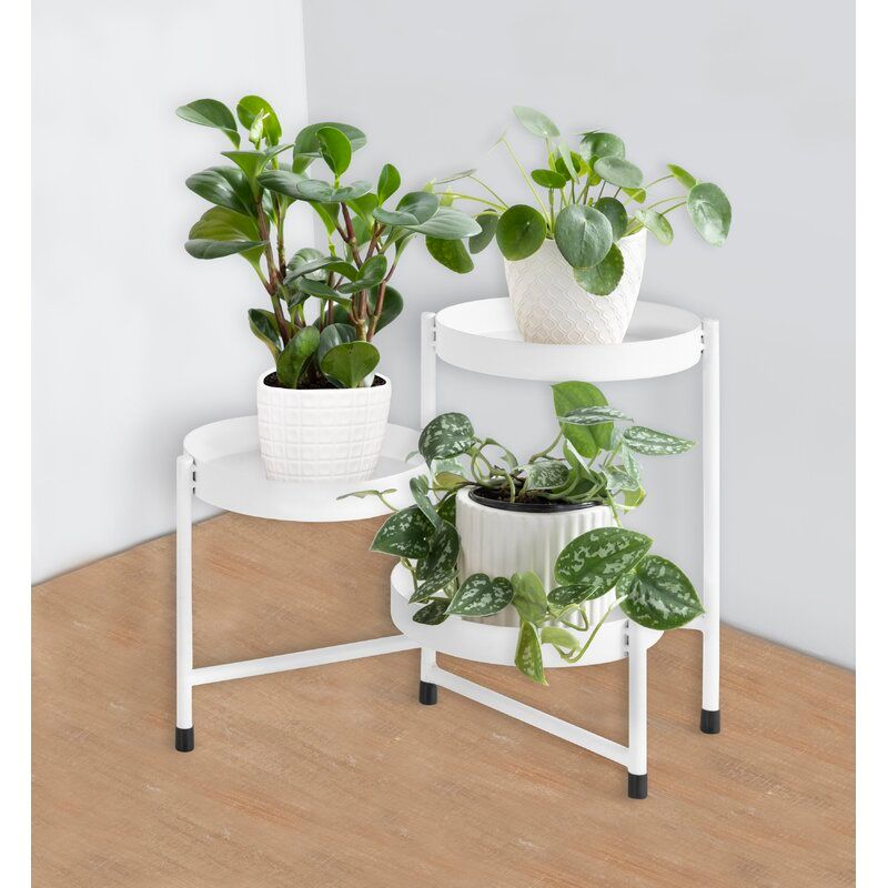 Oquendo Round Multi Tiered Plant Stand thumbnail 4