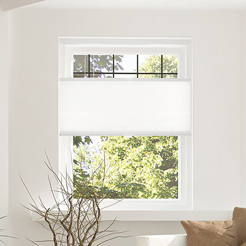 Custom Made Cordless Blackout Cellular Shade thumbnail 2