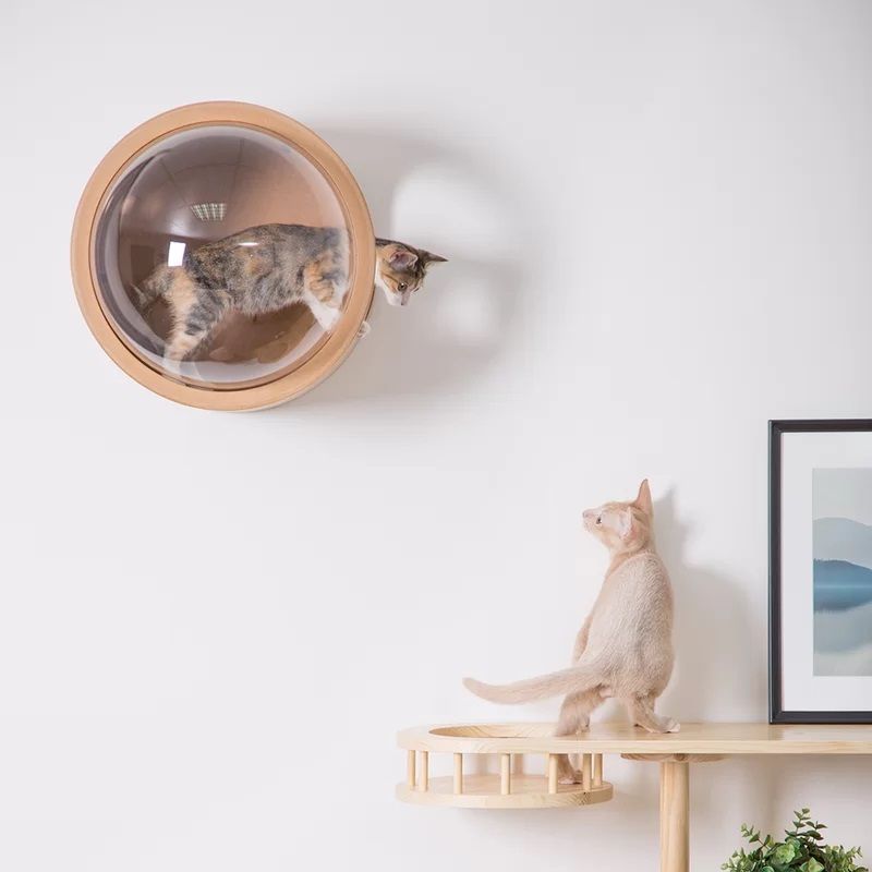 Jaylene Wall Mounted Furniture Function thumbnail 4