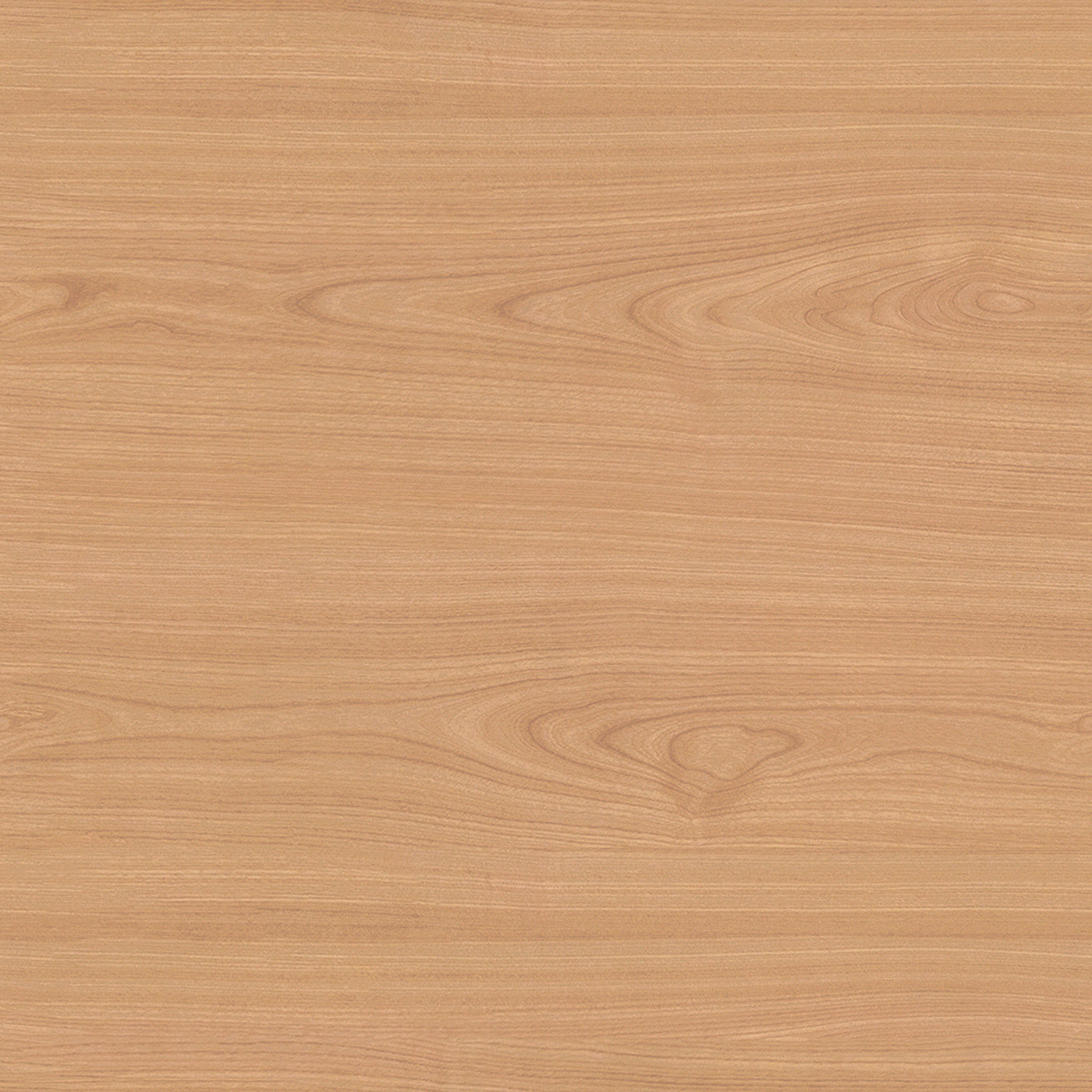 Jaylene Wall Mounted Furniture Function thumbnail 5