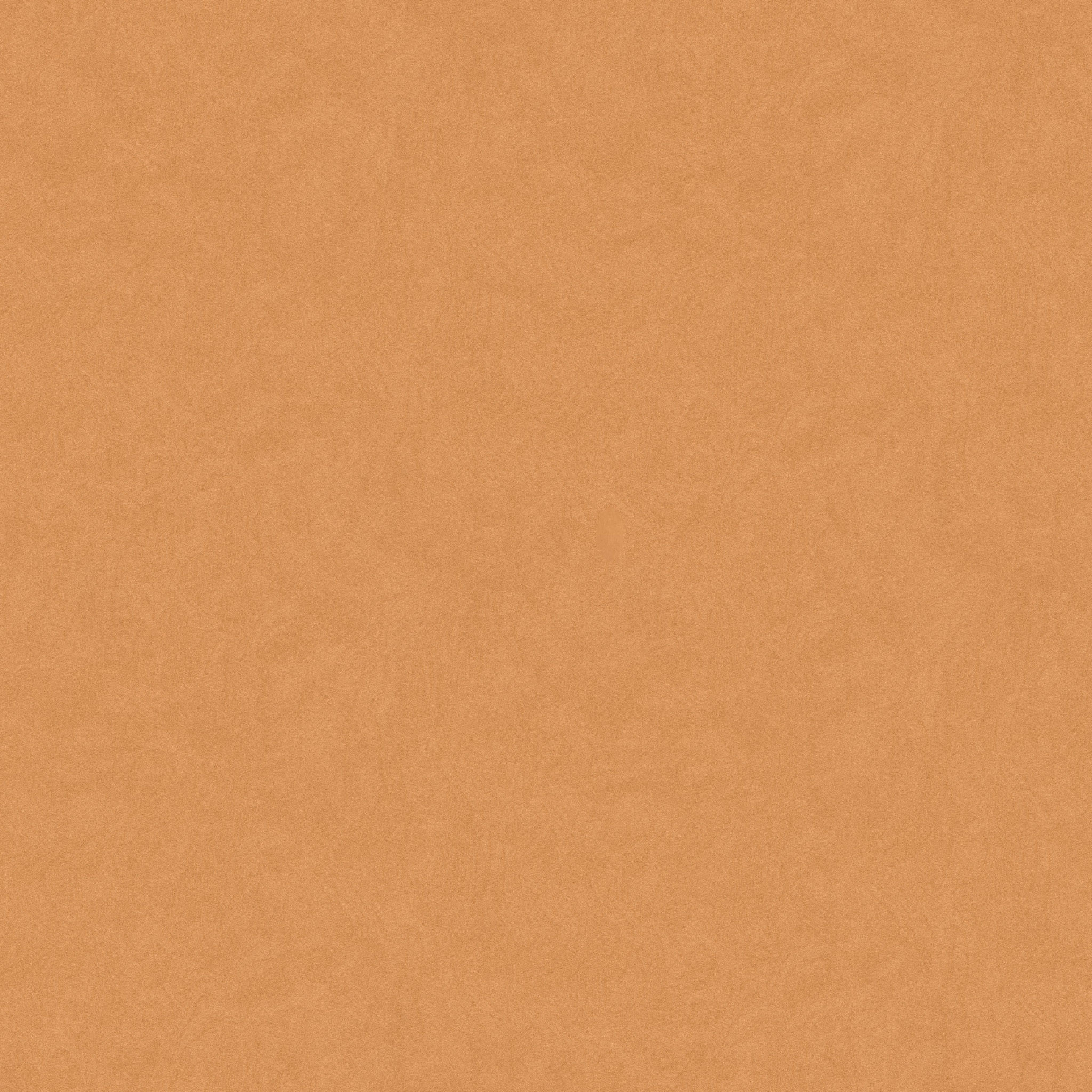 Jaylene Wall Mounted Furniture Function thumbnail 6