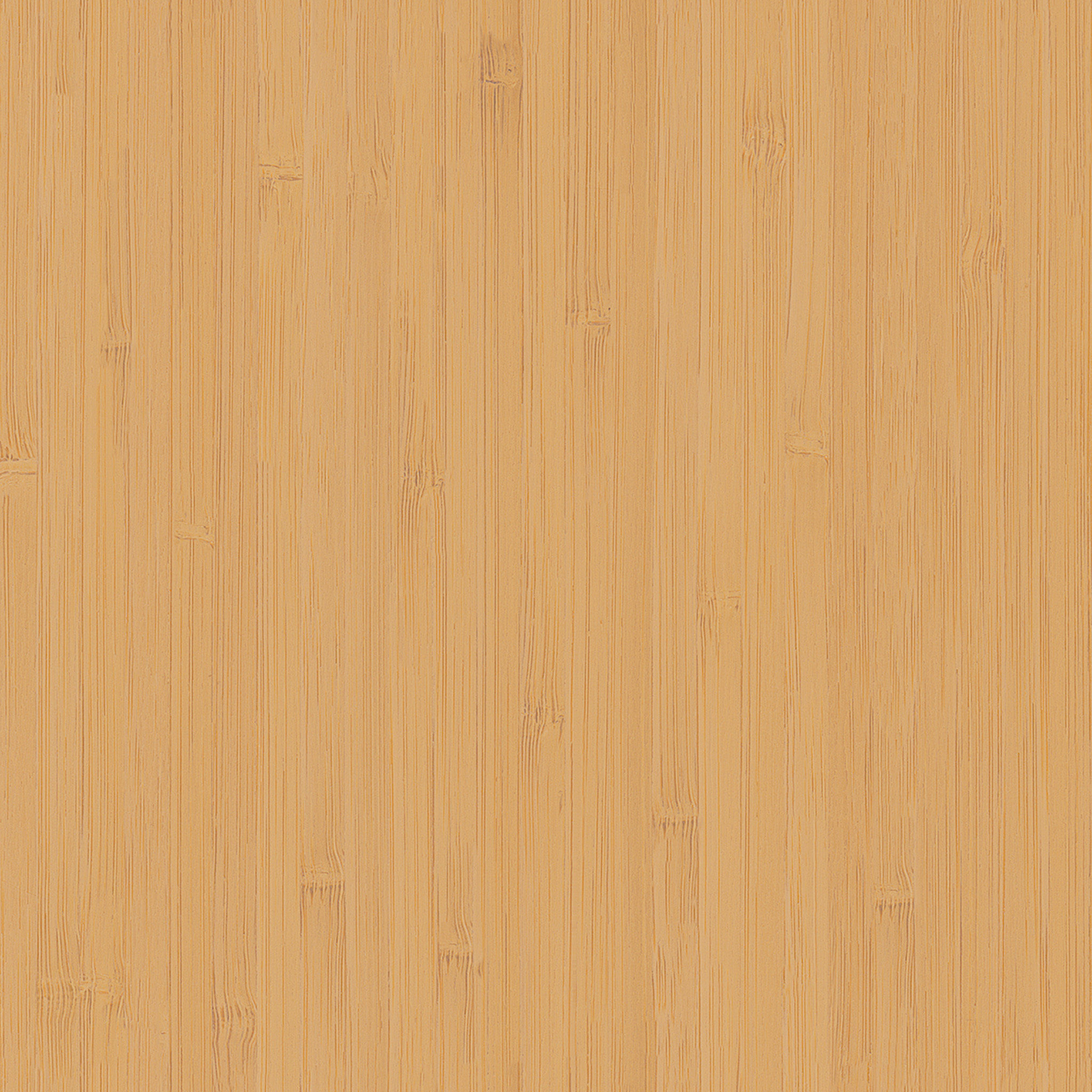 Preiss Wide Butterfly Chair thumbnail 7