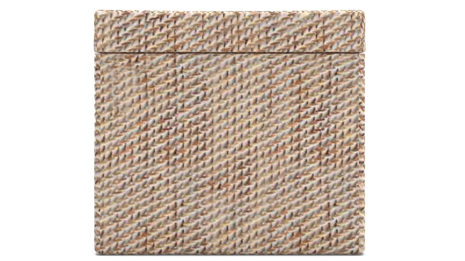 Whitewash Tava Handcrafted Rattan Lidded Box thumbnail 3