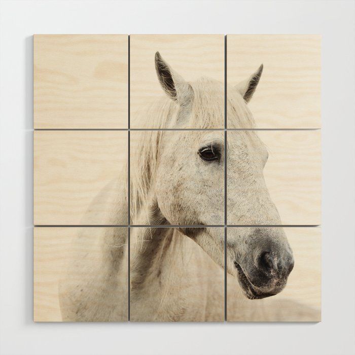 White Horse Minimalist Nature Photography Wood Wall Art thumbnail 2