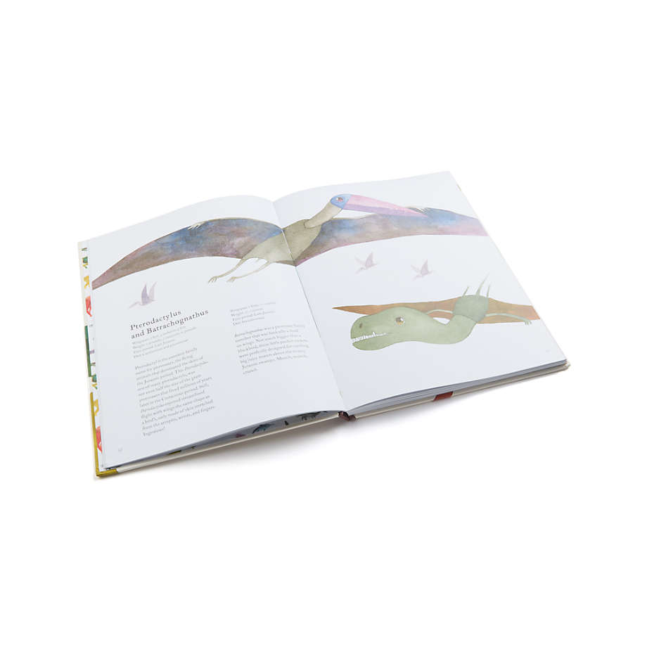 The Colorful World of Dinosaurs Book thumbnail 3
