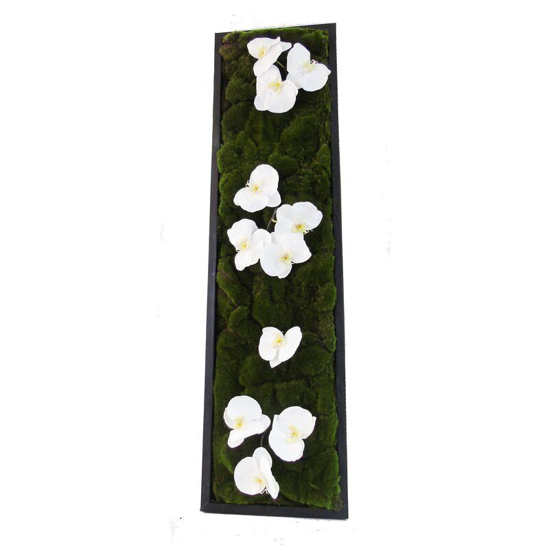 Moss Accented Wall Decor thumbnail 2