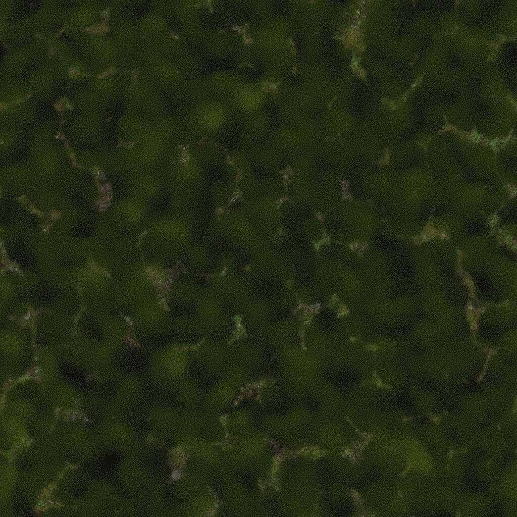 Moss Accented Wall Decor thumbnail 3