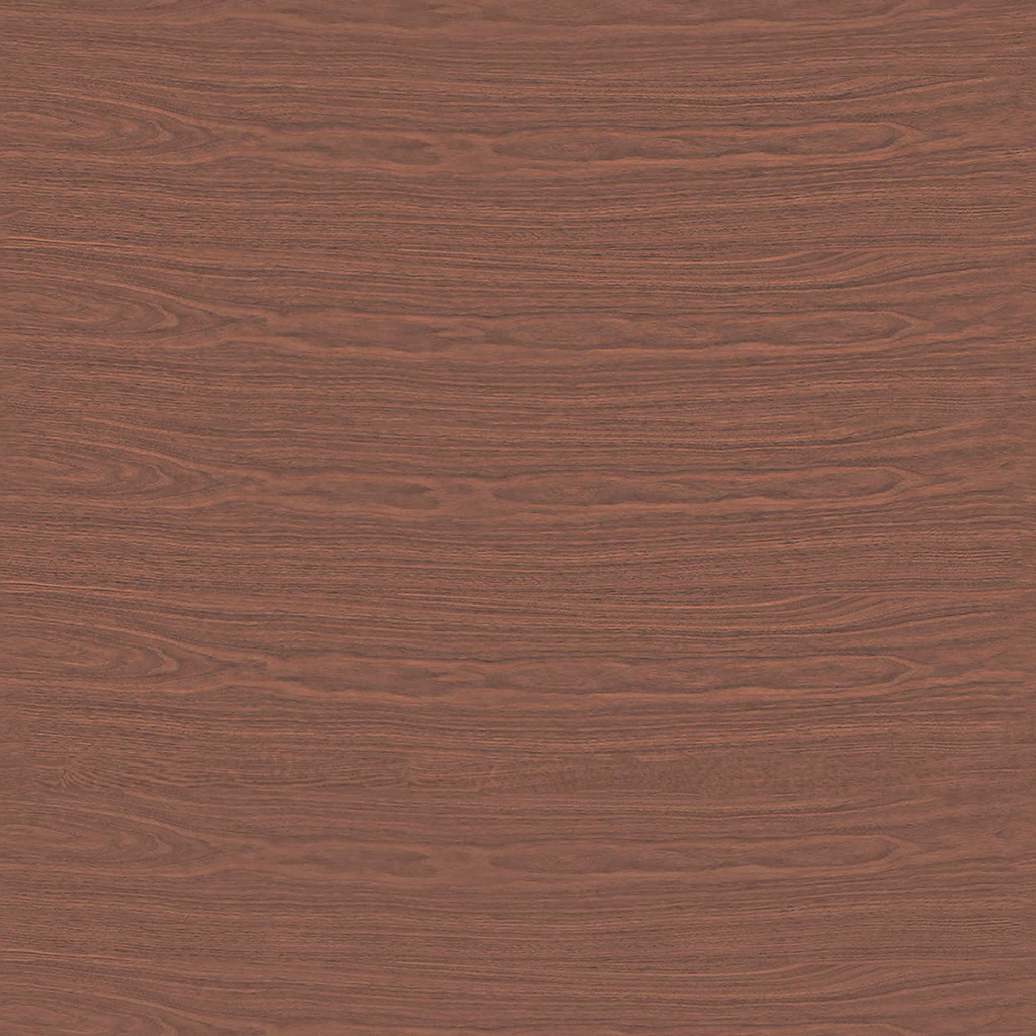 Ammara 86" thumbnail 4