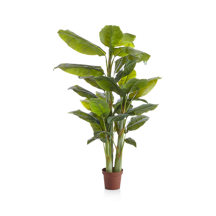 Faux Banana Tree thumbnail 2