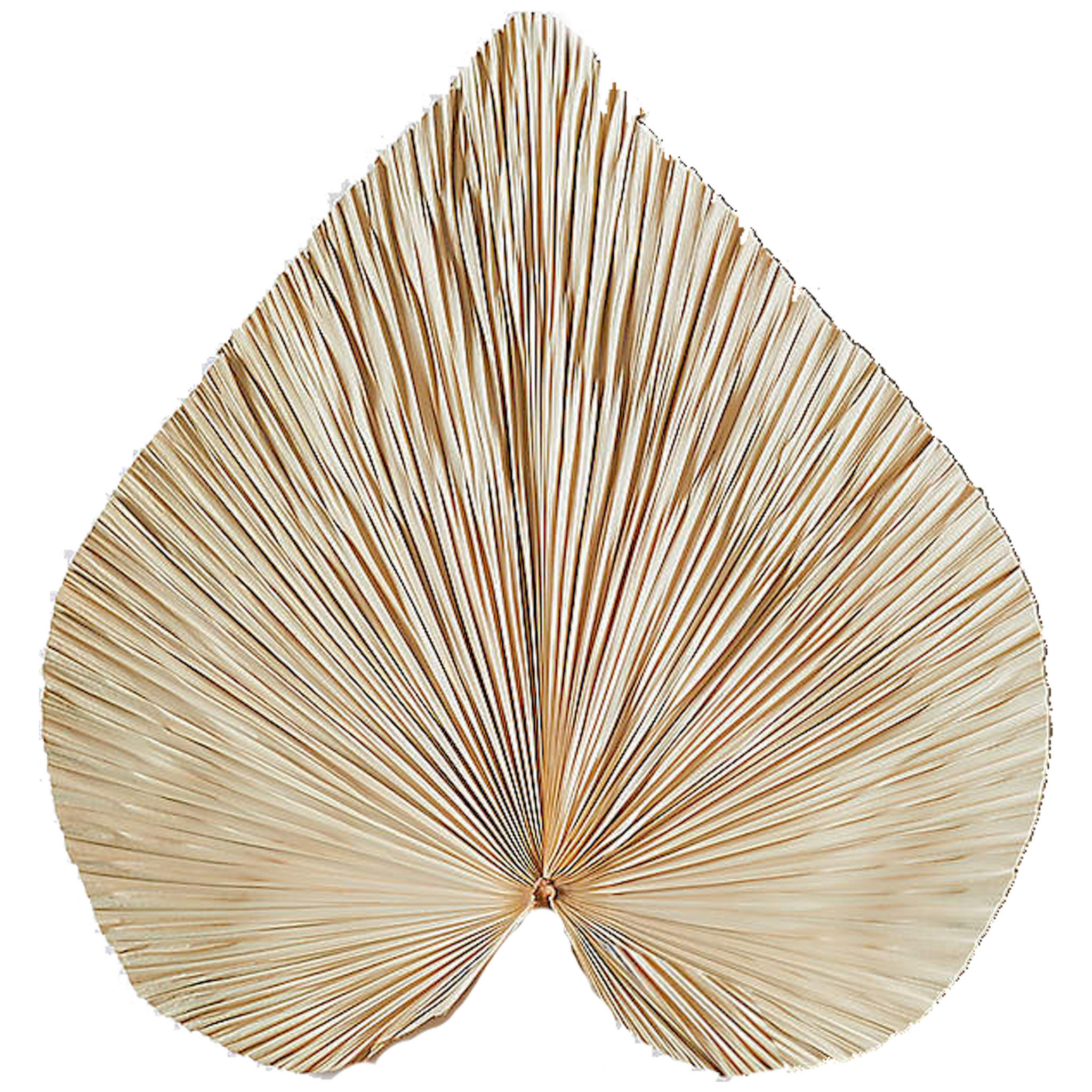 Rizar Palm Wall Decor thumbnail 2