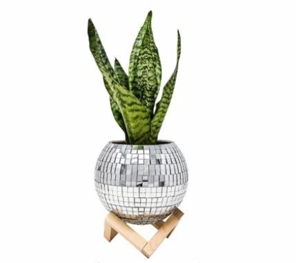 Disco Ball Planter thumbnail 3