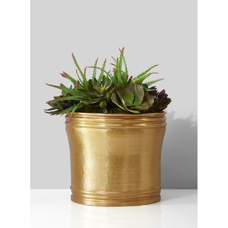 Hatchett Brass Pot Planter thumbnail 3