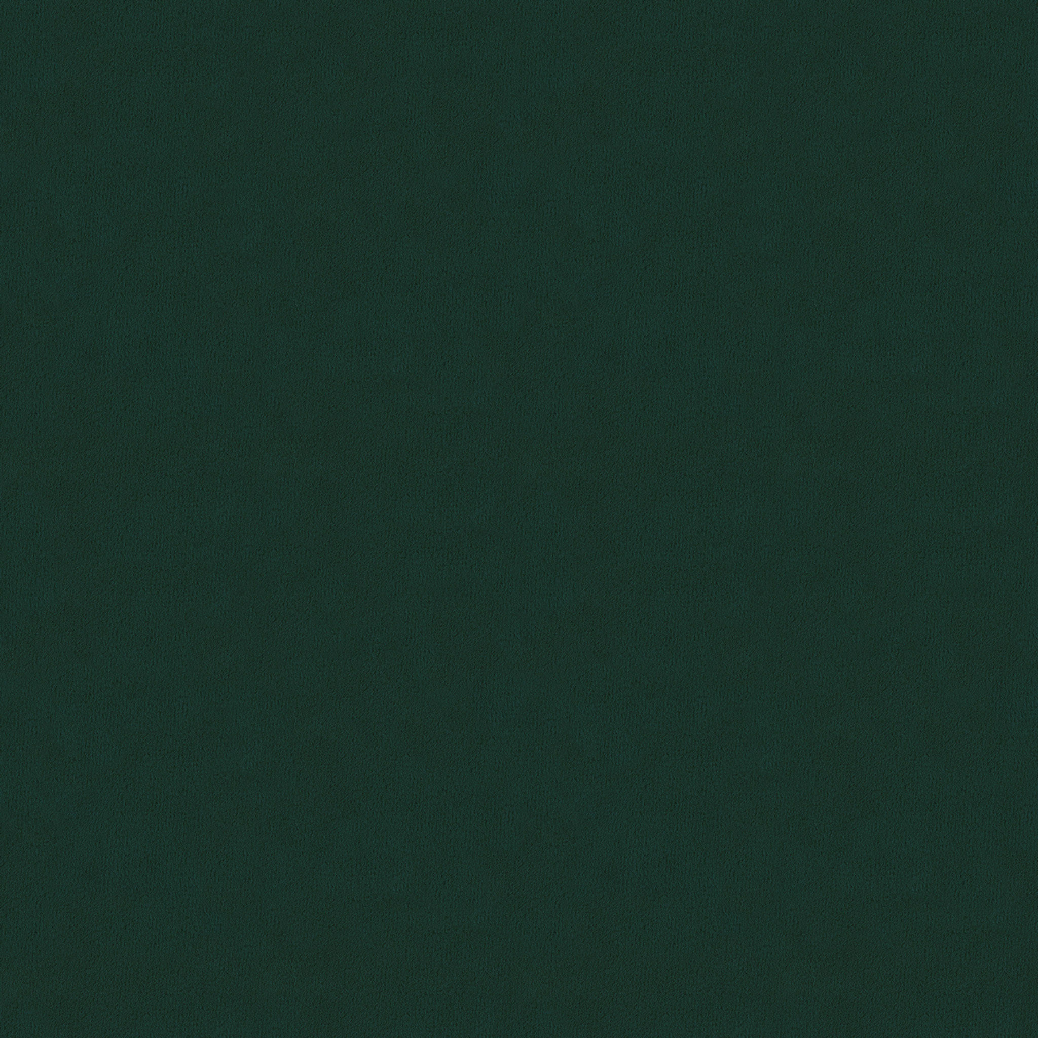 Charlotte Dining Chair - Green thumbnail 5