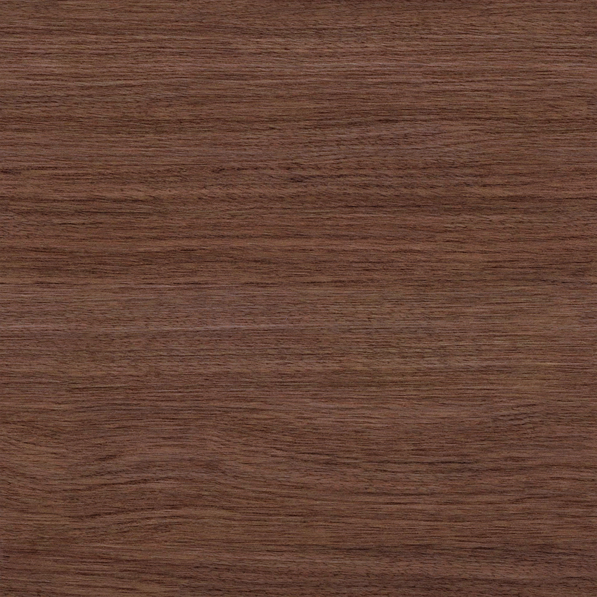 Leo Dining Chair thumbnail 7