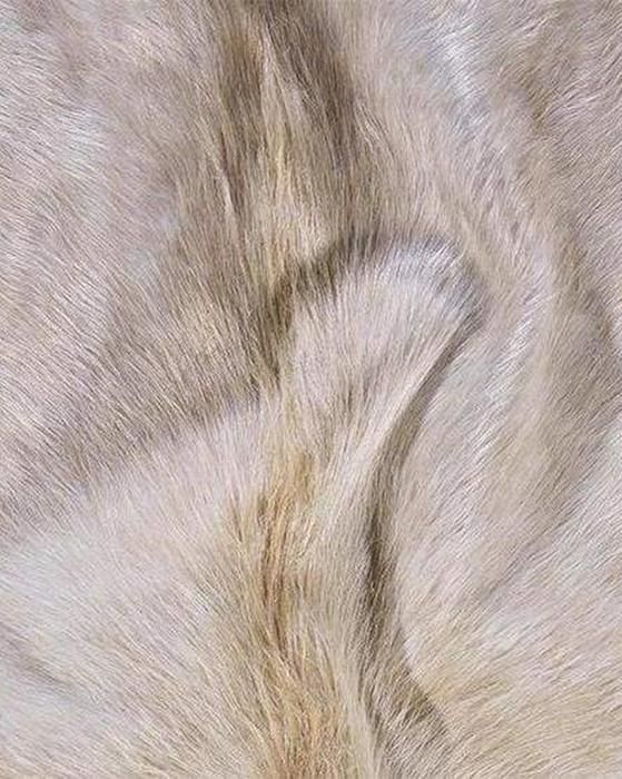 Topeka Hide 6'x7.5' thumbnail 2