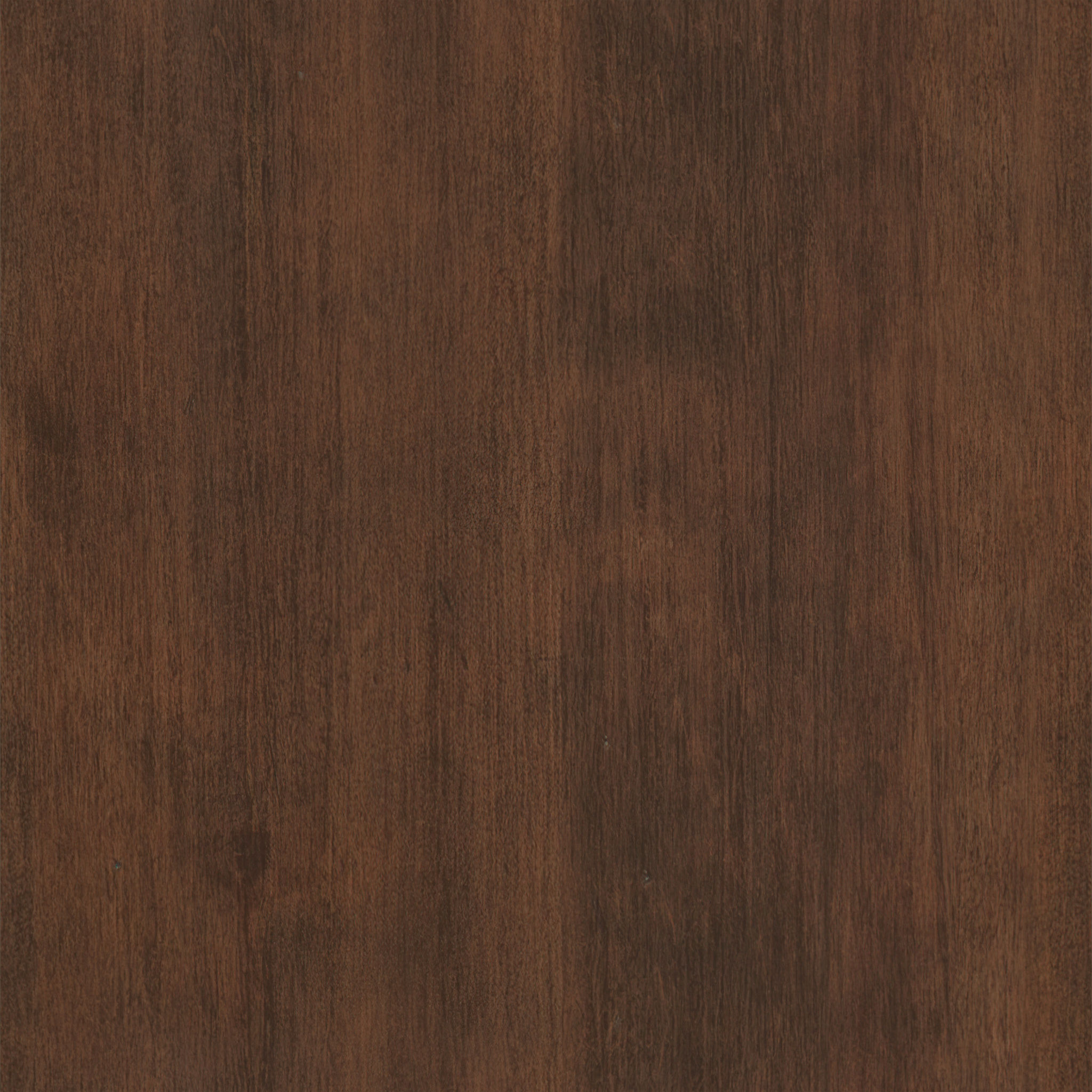Tatum Entryway Shoe Storage Cabinet thumbnail 8