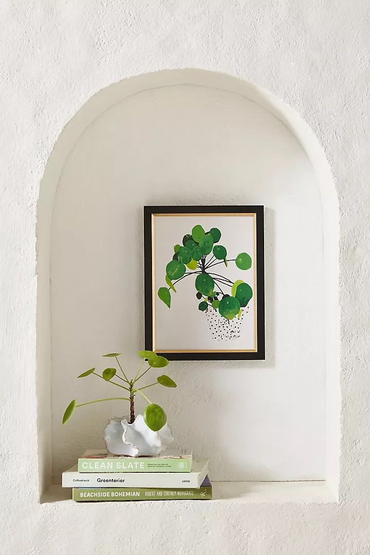 Pila Peperomioides Wall Art With Frame thumbnail 2