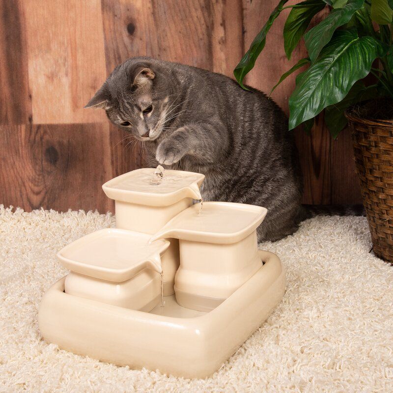 Miaustore Cat Water Fountain thumbnail 4