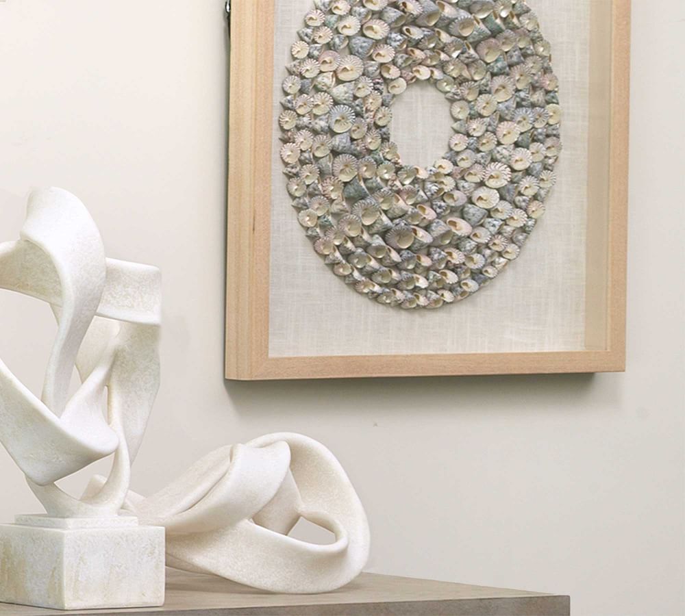 Trochidae Shell Shadow Box Wall Art With Frame thumbnail 3