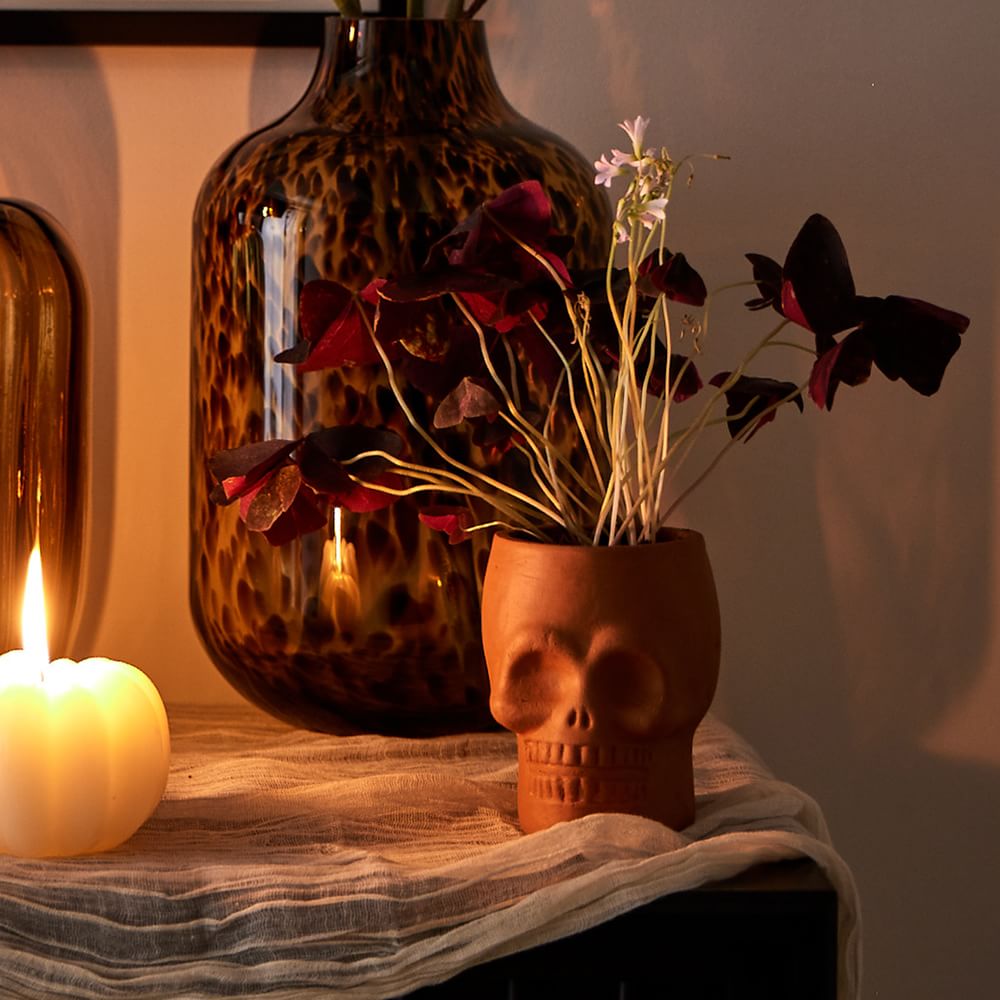 Terracotta Skull Vase thumbnail 4