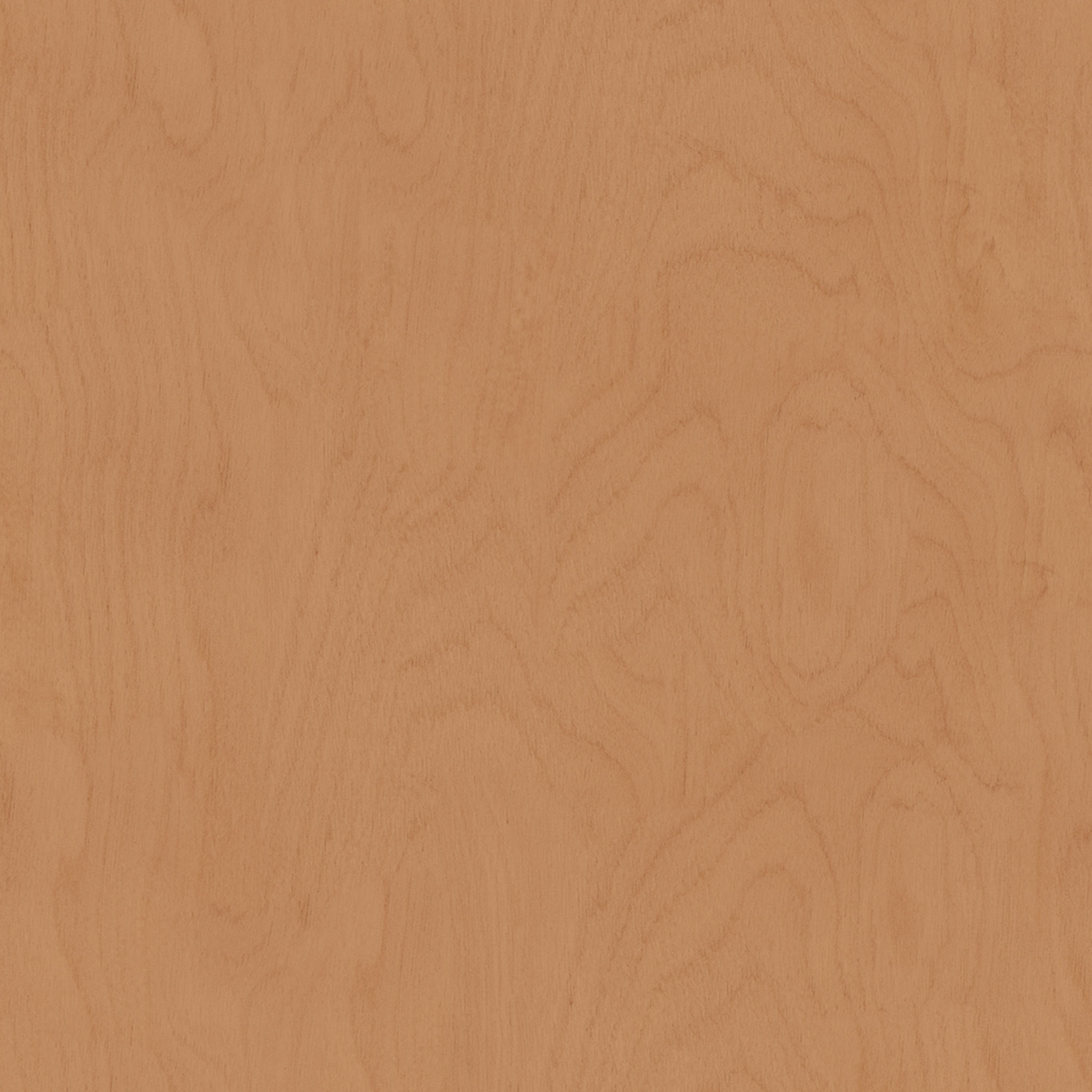 Bolan Zboard Paperboard Bookcase thumbnail 6