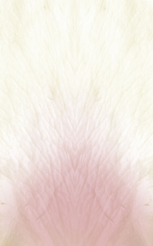 Faux Magnolias Composed Arrangement thumbnail 5