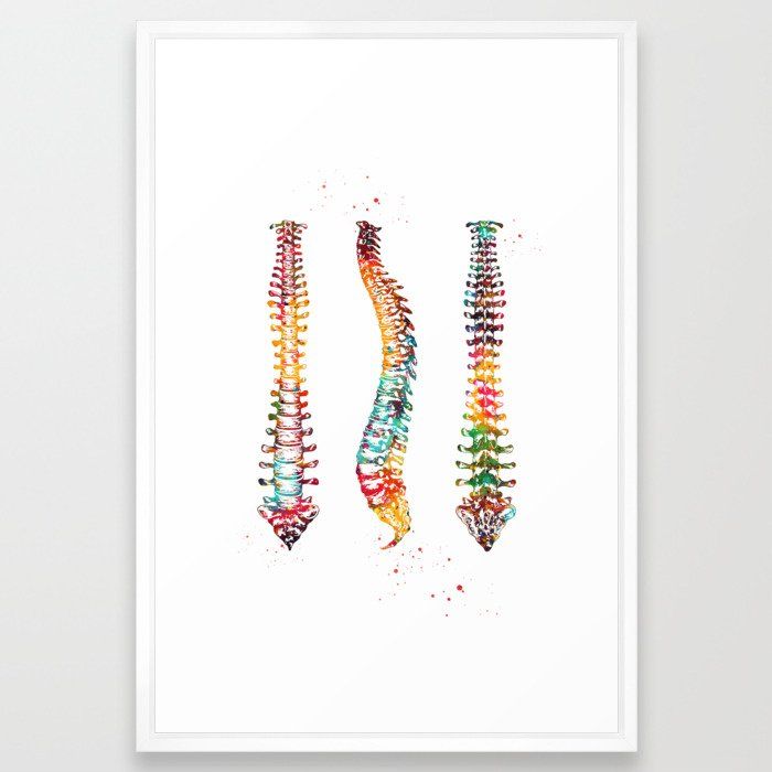 Human Spine Art Print With Frame thumbnail 2