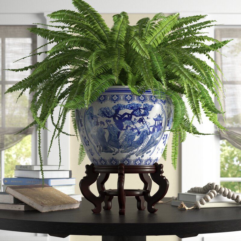 Christien Ceramic Pot Planter thumbnail 3